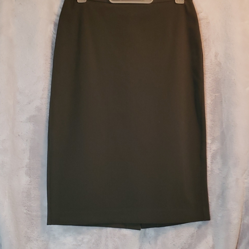 The Limited skirt